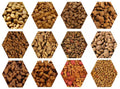 Animal Cat Dog Fish Feed Extruder Making Machinery Line Pet Food Production Manufacturing Factory