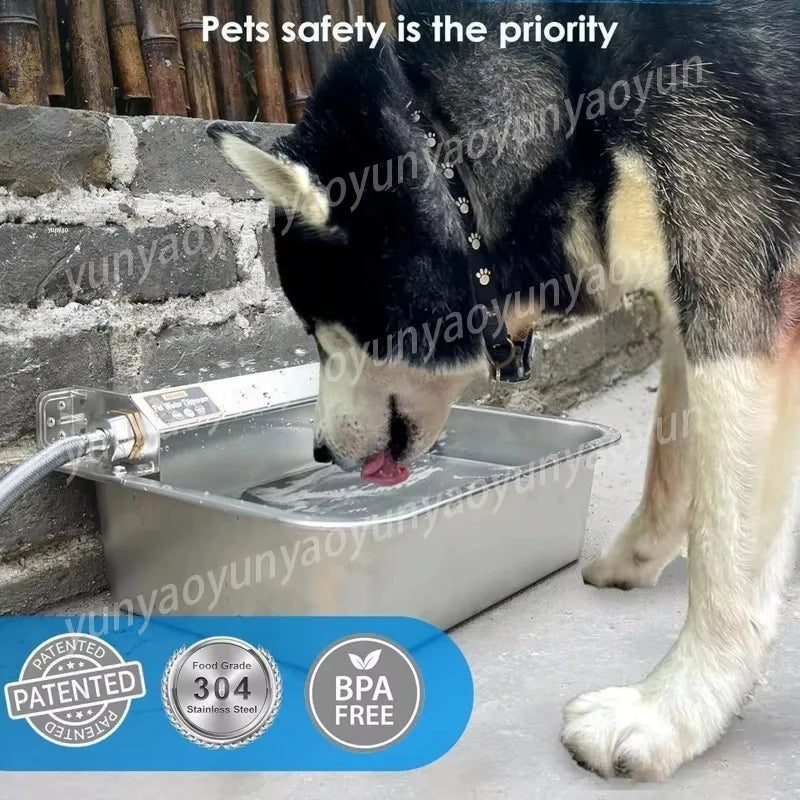 Stainless Steel Outdoor Pet Feeder Auto-Fill Feature 304 Product Animal Drinkers Dog Water Dispenser