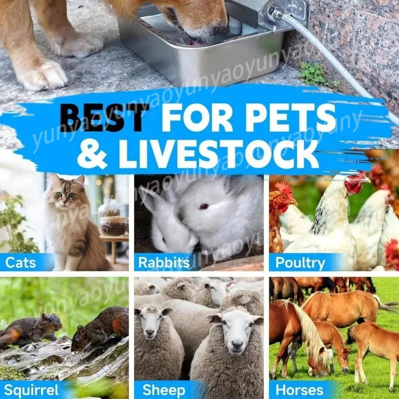 Stainless Steel Outdoor Pet Feeder Auto-Fill Feature 304 Product Animal Drinkers Dog Water Dispenser