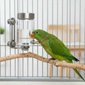 Bird Enclosure Water Feeder Adhesive-Backed Mount Bird Water Bottle Parrot Waterer Stainless Steel Pet Supply Measurement