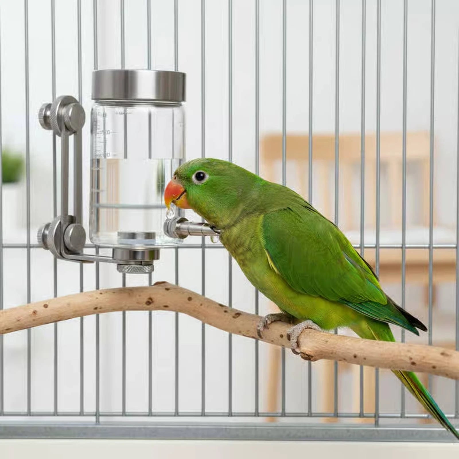 Bird Enclosure Water Feeder Adhesive-Backed Mount Bird Water Bottle Parrot Waterer Stainless Steel Pet Supply Measurement
